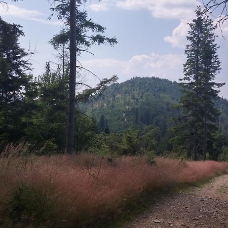 Pod Klimczokiem I Bed & Breakfast Szczyrk Luaran gambar