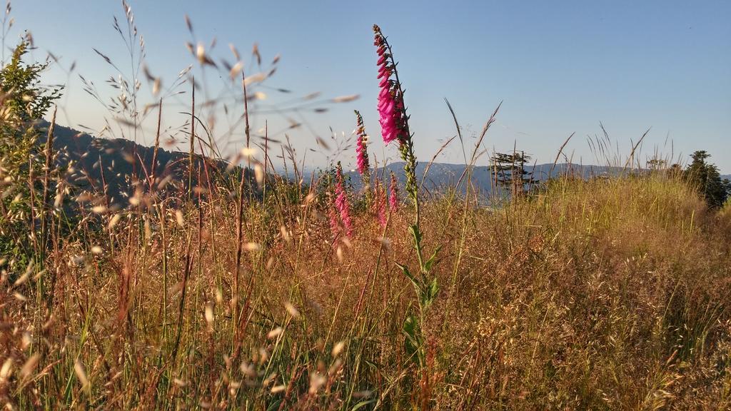 Pod Klimczokiem I Bed & Breakfast Szczyrk Luaran gambar