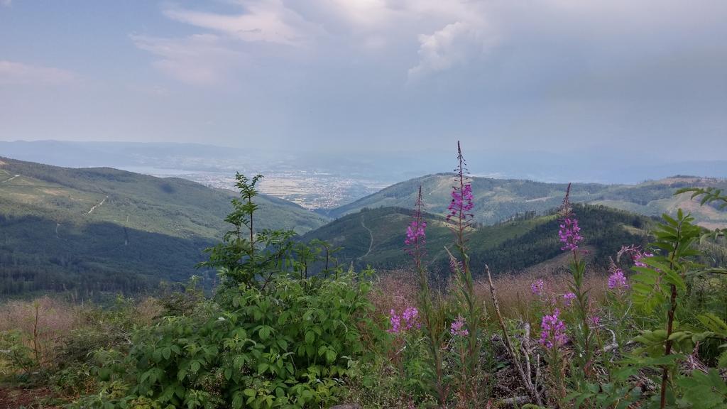 Pod Klimczokiem I Bed & Breakfast Szczyrk Luaran gambar