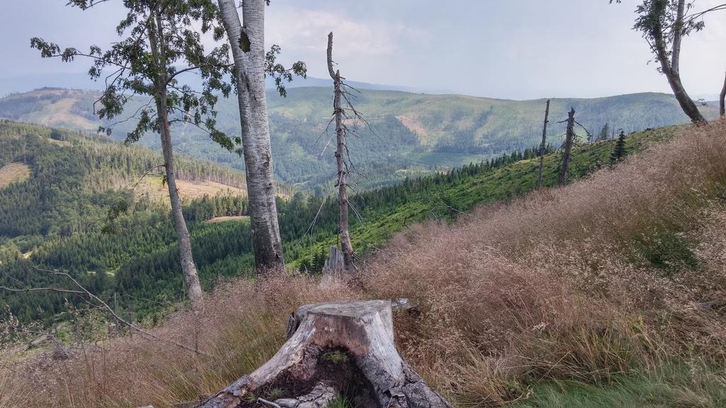 Pod Klimczokiem I Bed & Breakfast Szczyrk Luaran gambar