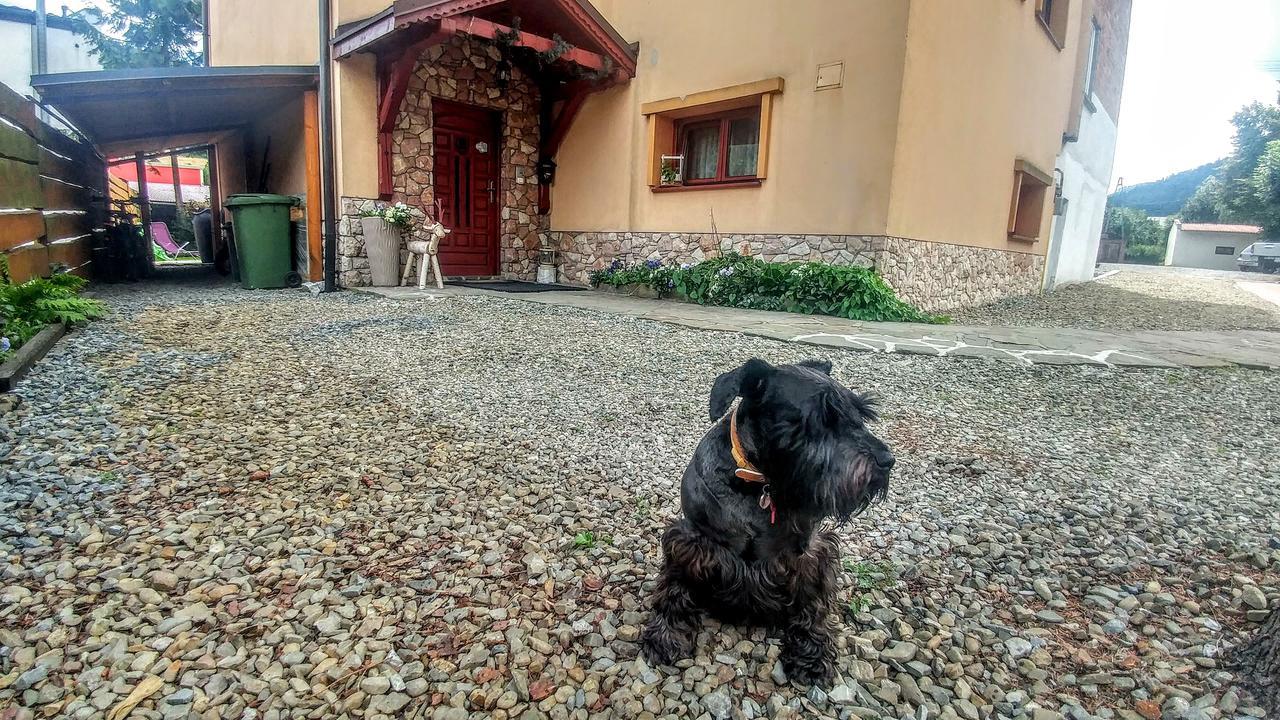 Pod Klimczokiem I Bed & Breakfast Szczyrk Luaran gambar