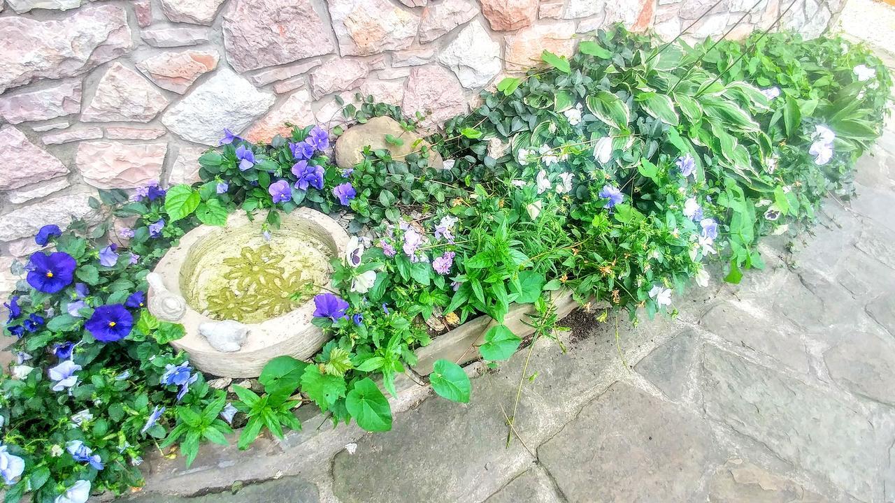 Pod Klimczokiem I Bed & Breakfast Szczyrk Luaran gambar